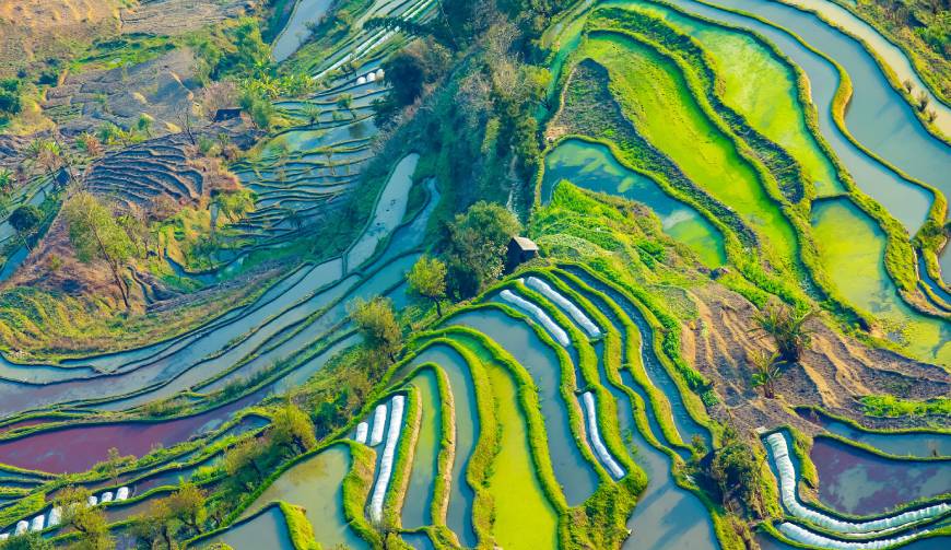 红山区产品视频拍摄